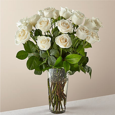 Long Stem White Rose Bouquet | Better